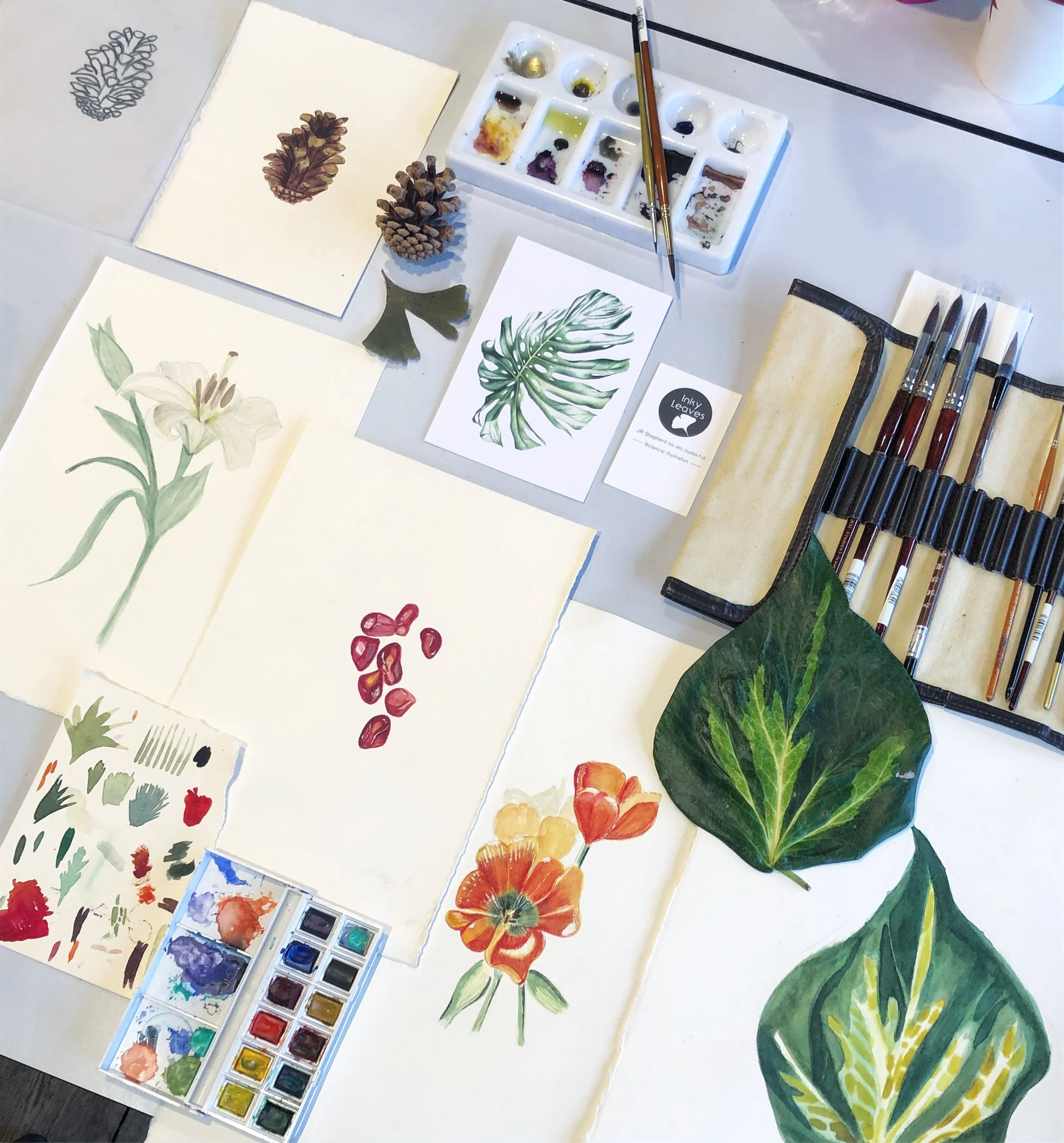 The Art of Botanical Illustration